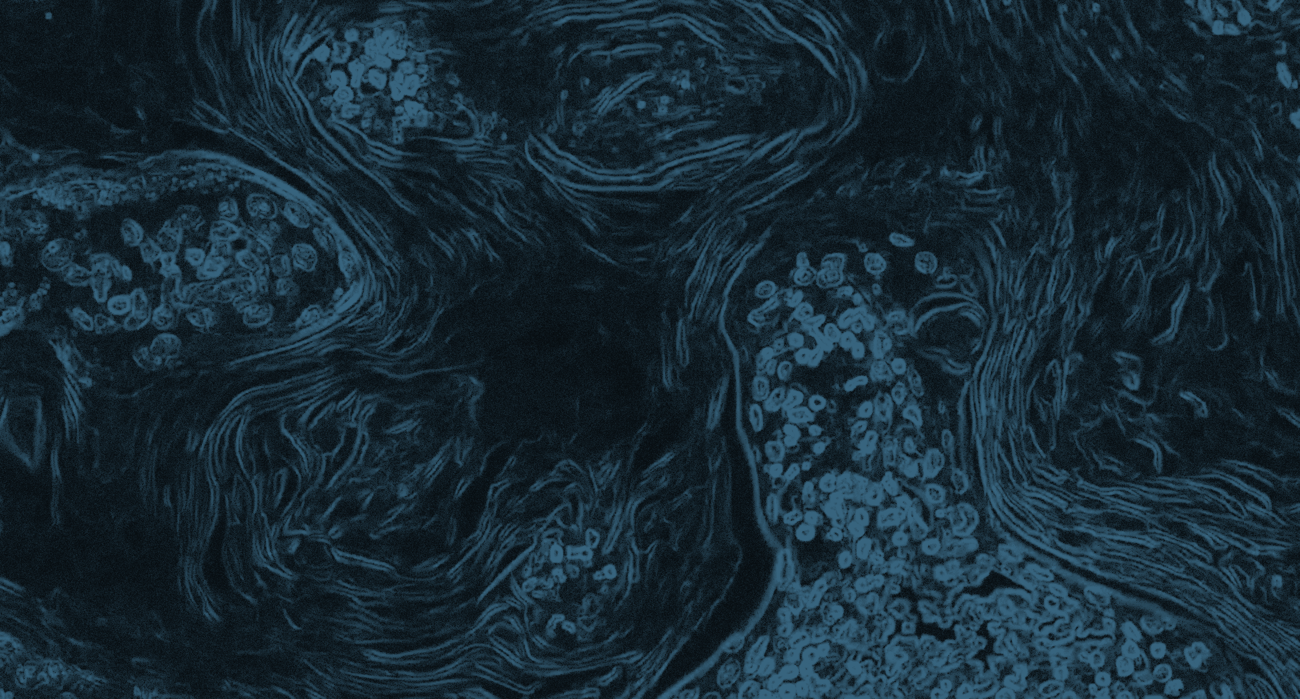 A scan of a pathology slide depicting cells.